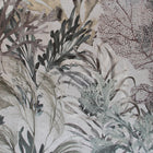 26735 Bora Bora Tropical Mushroom Wallpaper By Hohenberger