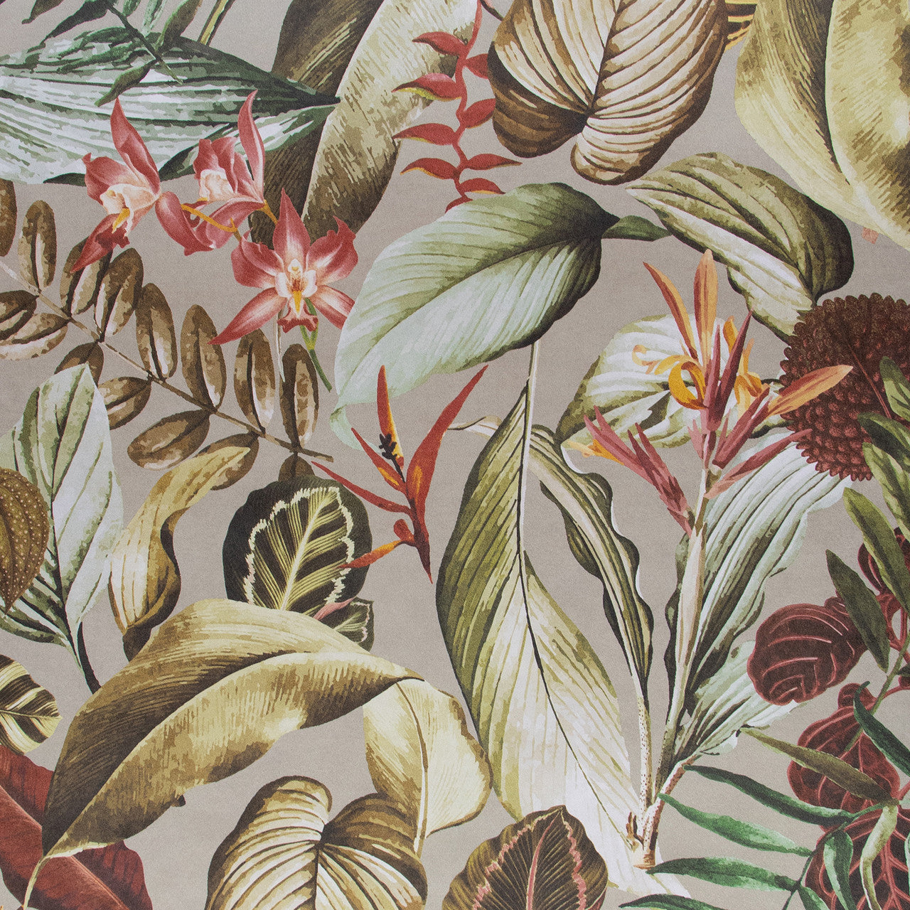 26738 Kiribati Tropical Peanut Wallpaper By Hohenberger