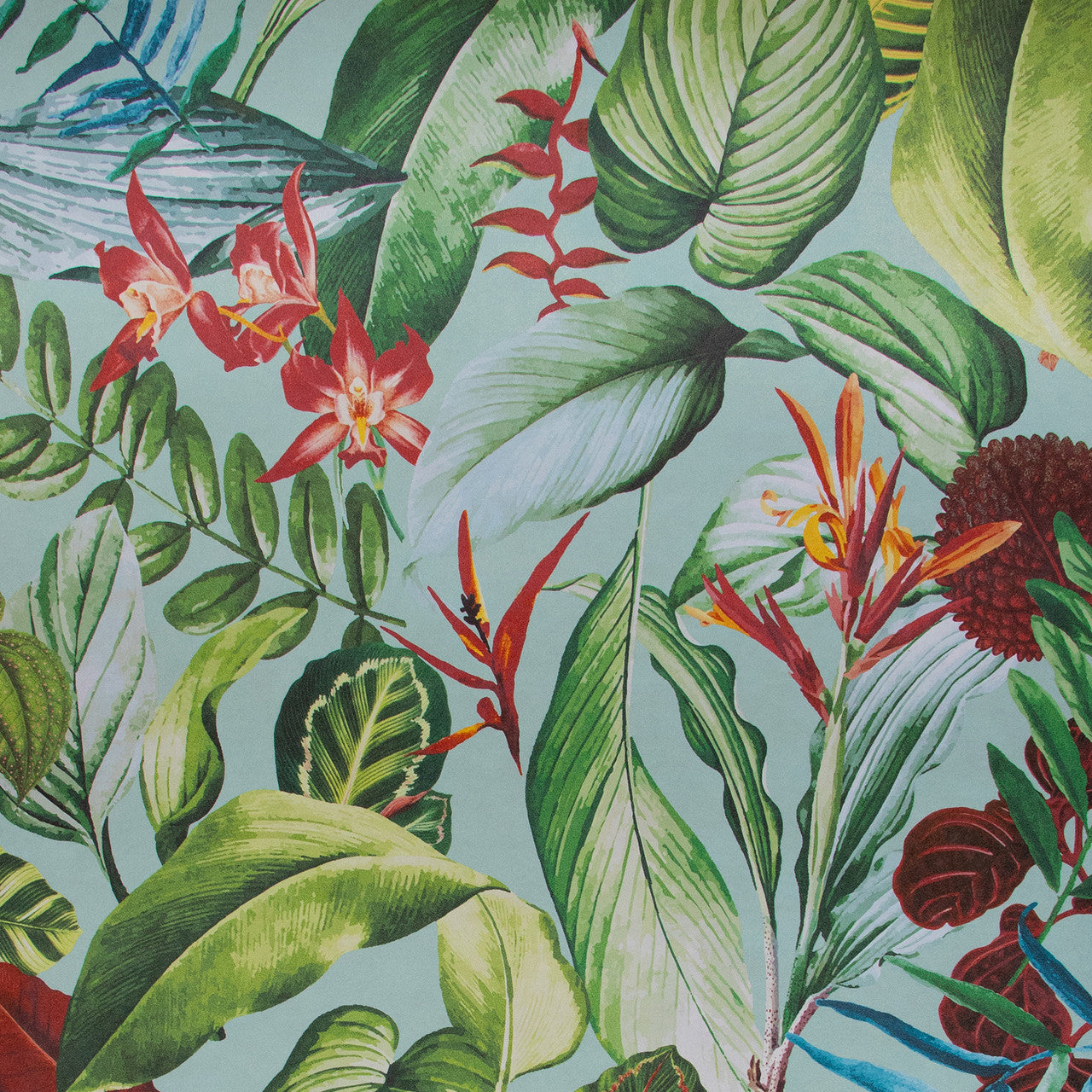 26741 Kiribati Tropical Blue Banana Wallpaper By Hohenberger