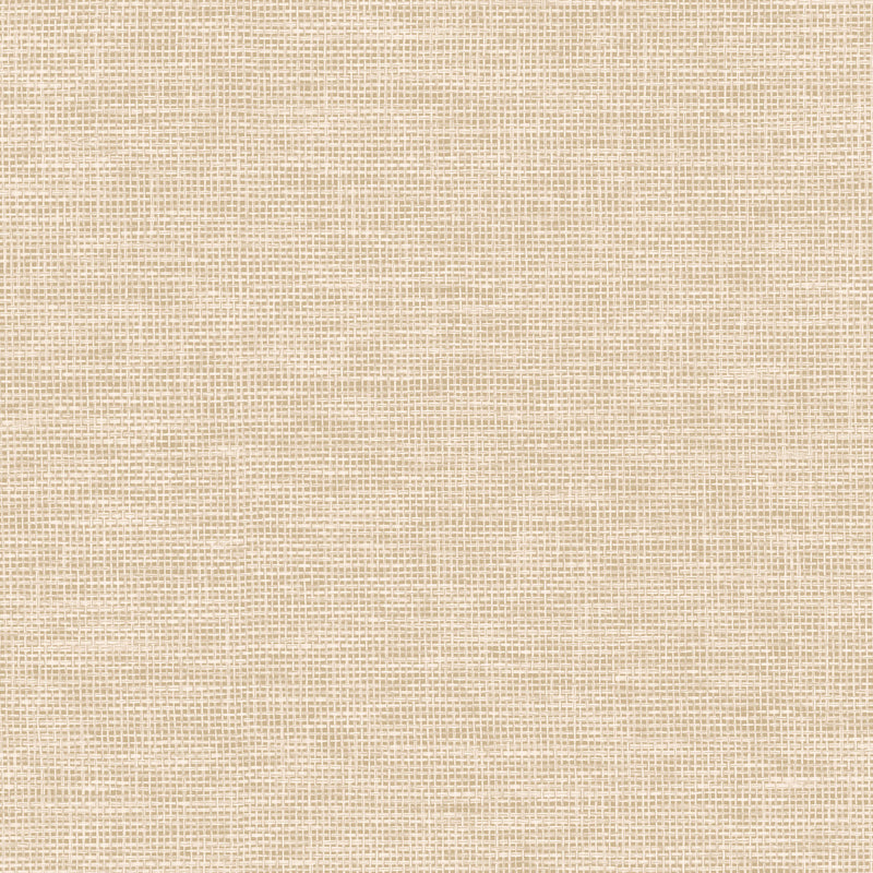 26742 Le Raphia Tisse Essentials Les Naturels Sand Wallpaper By Arte