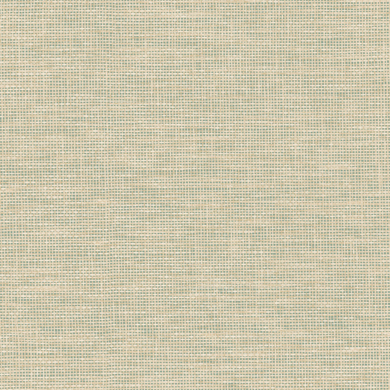 26751 Le Raphia Tisse Essentials Les Naturels Mint Wallpaper By Arte