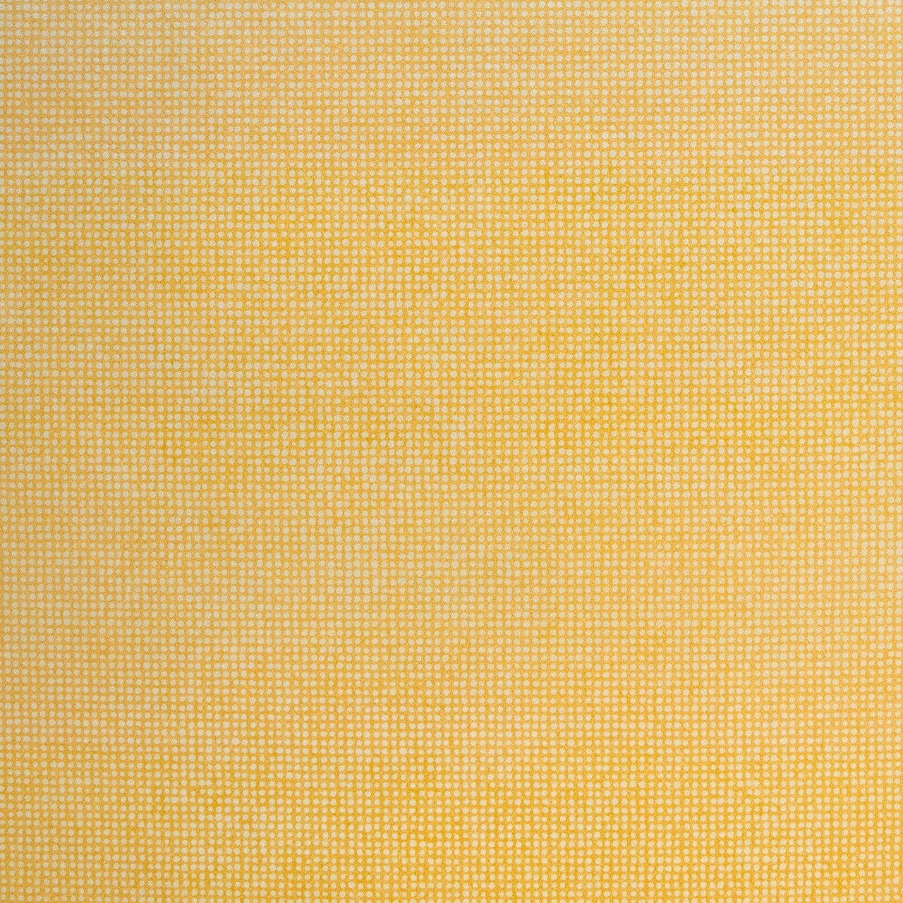 26807 Yellow Mini Dots Great Kids Wallpaper By Hohenberger