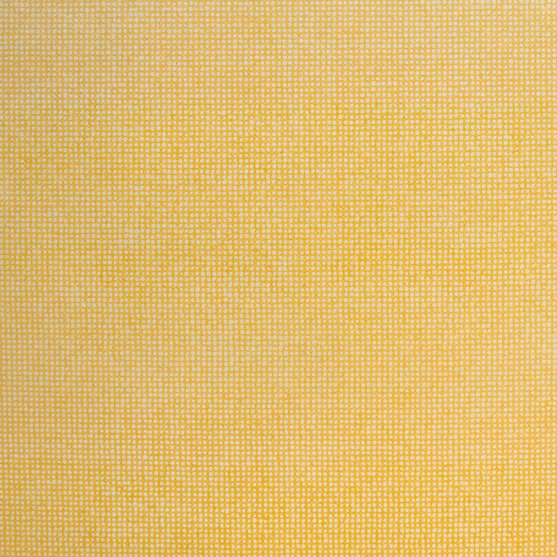 26807 Yellow Mini Dots Great Kids Wallpaper By Hohenberger