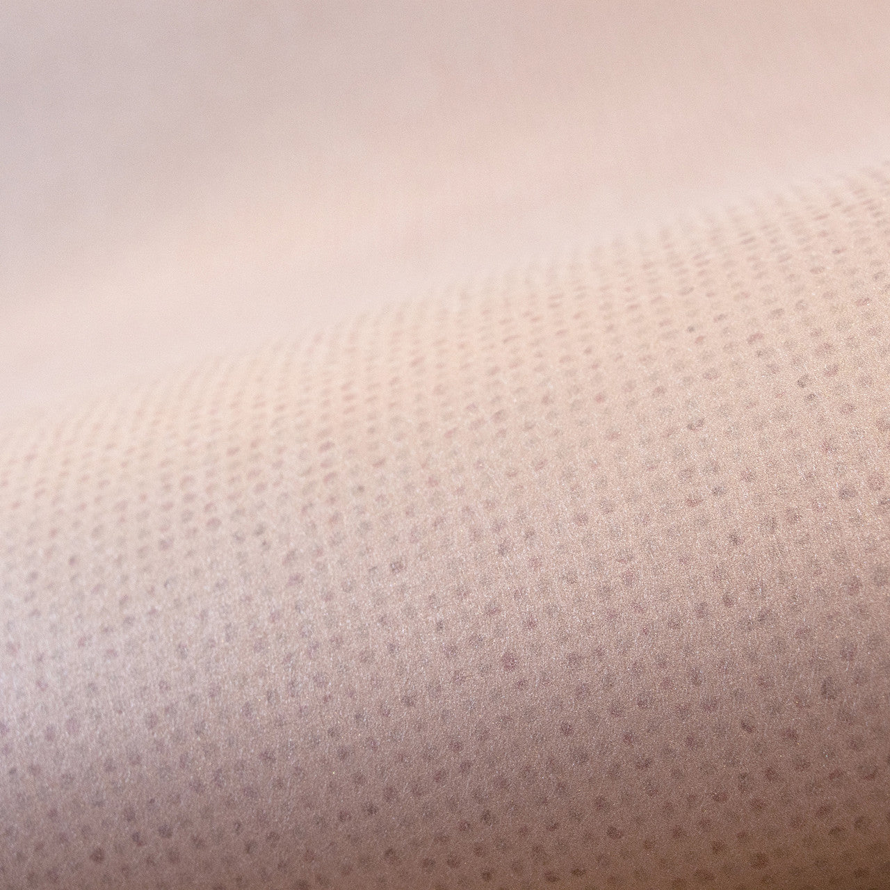 26808 Rose Mini Dots Great Kids Wallpaper By Hohenberger