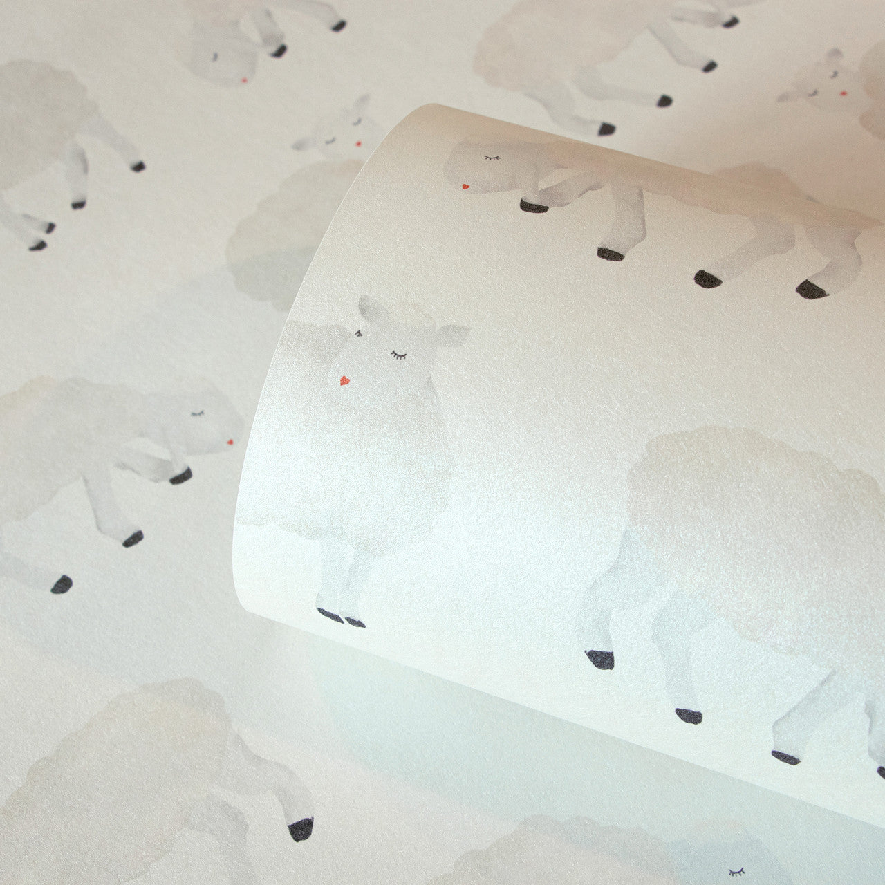 26826 White Sweet Sheep Great Kids Wallpaper By Hohenberger