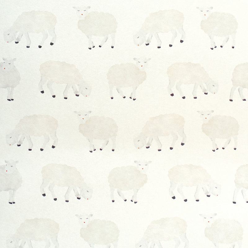 26826 White Sweet Sheep Great Kids Wallpaper By Hohenberger