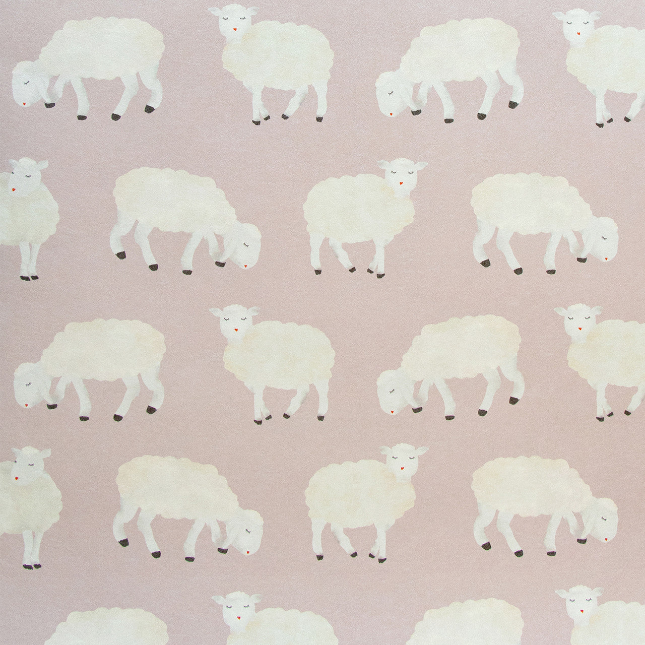 26827 Rose Sweet Sheep Great Kids Wallpaper By Hohenberger