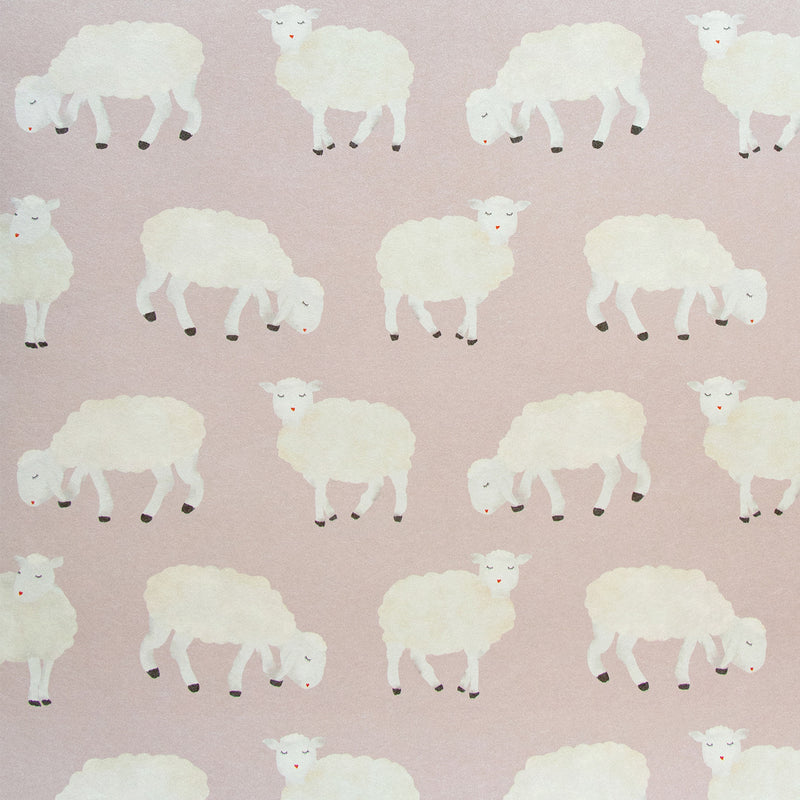 26827 Rose Sweet Sheep Great Kids Wallpaper By Hohenberger