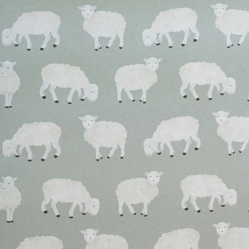 26828 Sage Sweet Sheep Great Kids Wallpaper By Hohenberger