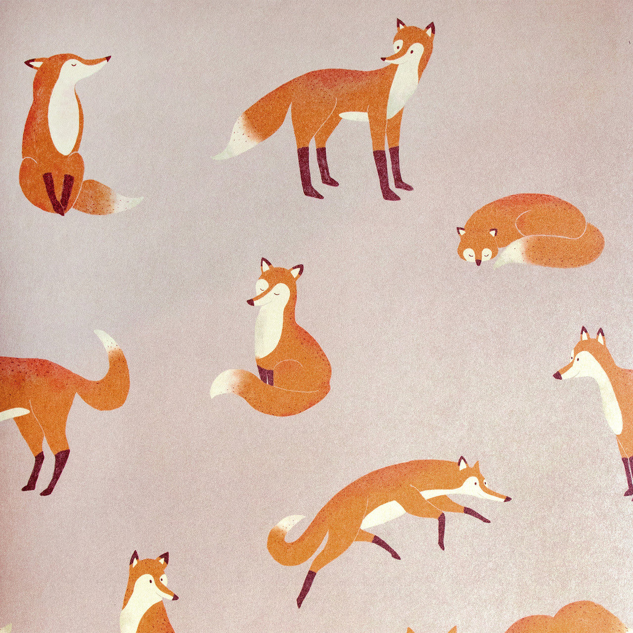 26840 Rose Friendly Foxes Great Kids Wallpaper By Hohenberger