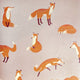 Rose Friendly Foxes Great Kids Wallpaper By Hohenberger