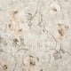 Petunia Apricot Greyish Julie Feels Home Wallpaper By Hohenberger