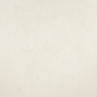 26932 Cream Tilia Plain Julie Feels Home Wallpaper By Hohenberger Galerie