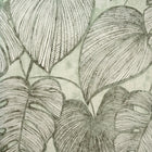 26935 Monstera Olive Sage Julie Feels Home Wallpaper By Hohenberger