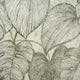 Monstera Olive Sage Julie Feels Home Wallpaper By Hohenberger