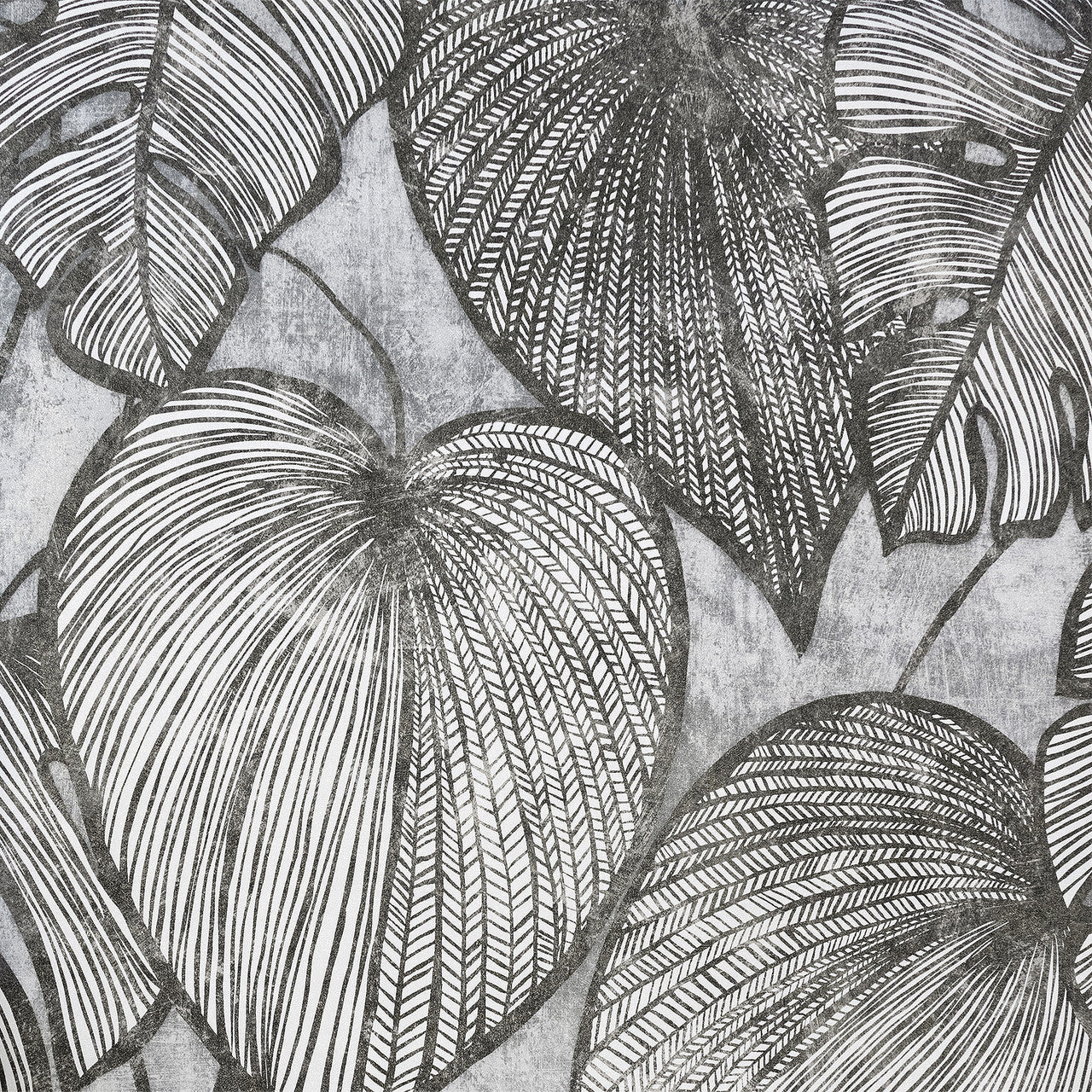 26939 Black Mid Lead Monstera Julie Feels Home Wallpaper By Hohenberger Galerie