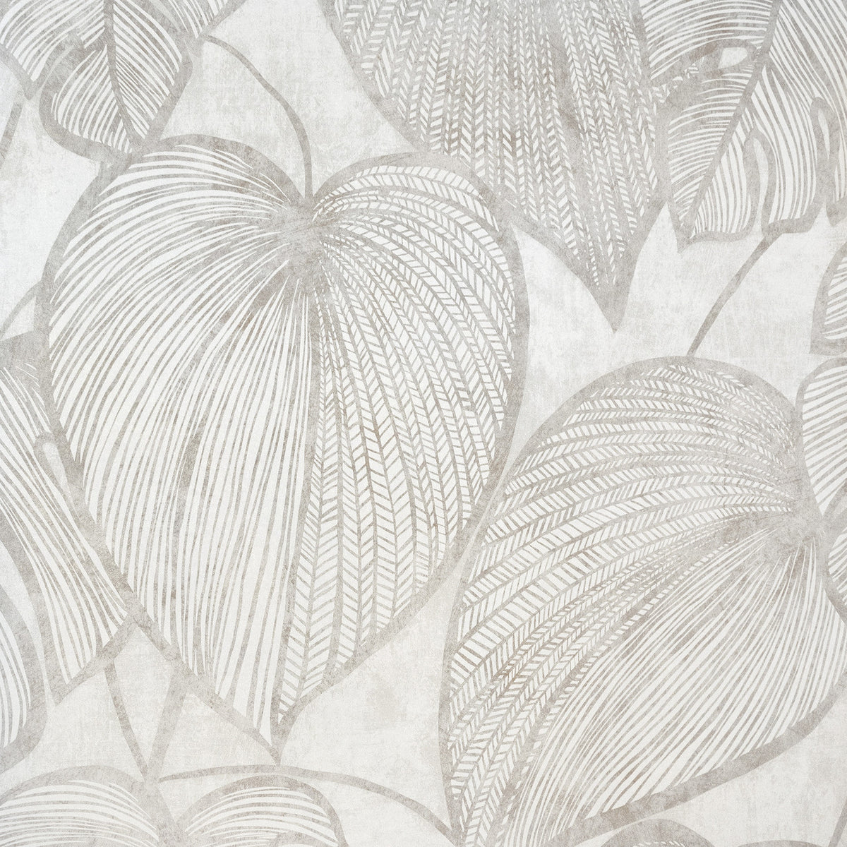 Monstera Mirror White Julie Feels Home Wallpaper By Hohenberger