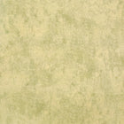 26944 Lime Monstera Plain Julie Feels Home Wallpaper By Hohenberger Galerie