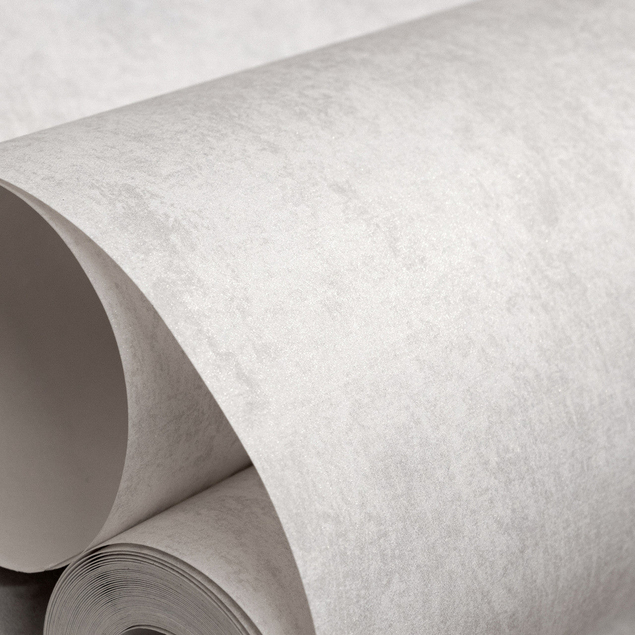 26951 Monstera Plain White Julie Feels Home Wallpaper By Hohenberger