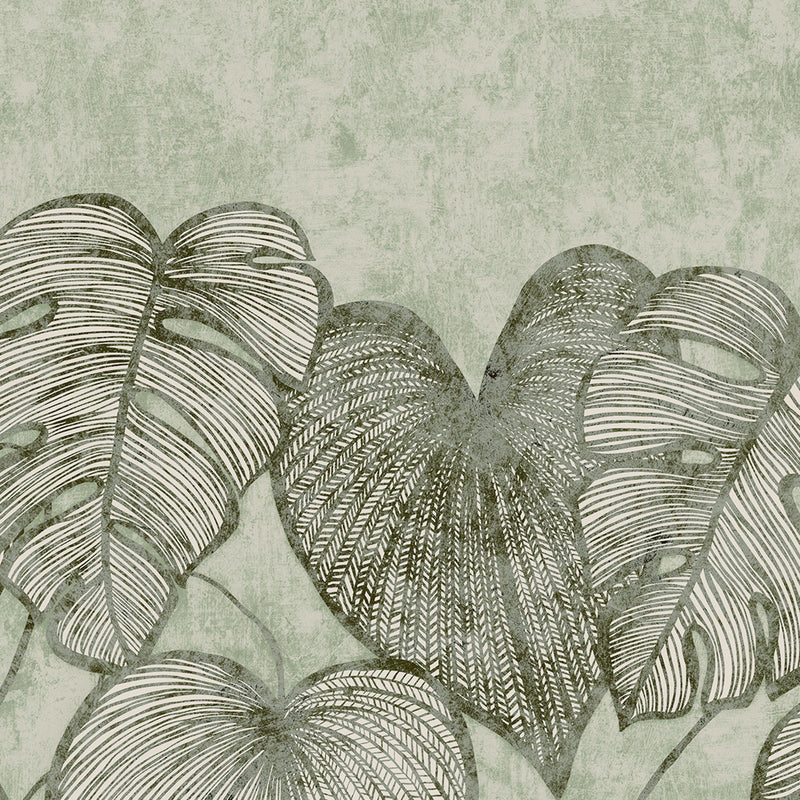 26973 Monstera Twin Wall Olive Sage Julie Feels Home Wall Mural By Hohenberger