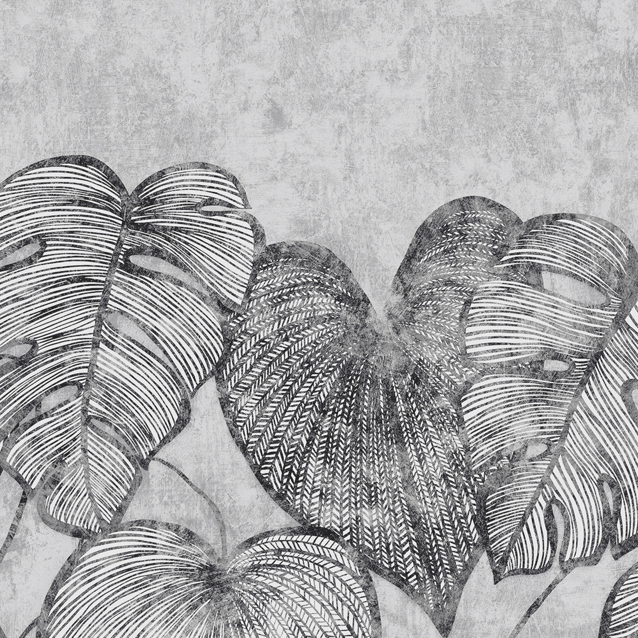 26977 Monstera Twin Wall Black Mid Lead Julie Feels Home Wall Mural By Hohenberger