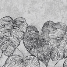 26977 Monstera Twin Wall Black Mid Lead Julie Feels Home Wall Mural By Hohenberger