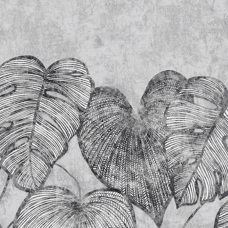 26977 Monstera Twin Wall Black Mid Lead Julie Feels Home Wall Mural By Hohenberger