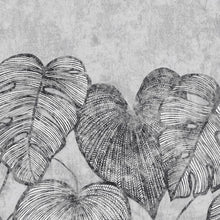 Monstera Twin Wall Black Mid Lead Julie Feels Home Wall Mural By Hohenberger