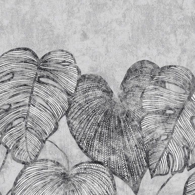 Monstera Twin Wall Black Mid Lead Julie Feels Home Wall Mural By Hohenberger