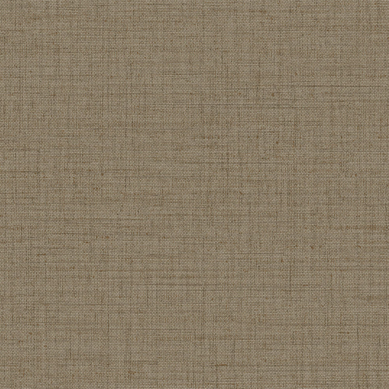 27006 Puro Figura Wallpaper By Arte