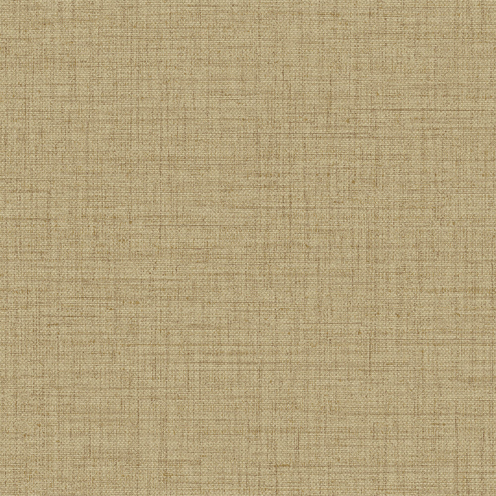 27007 Puro Figura Wallpaper By Arte