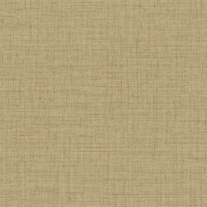 27007 Puro Figura Wallpaper By Arte