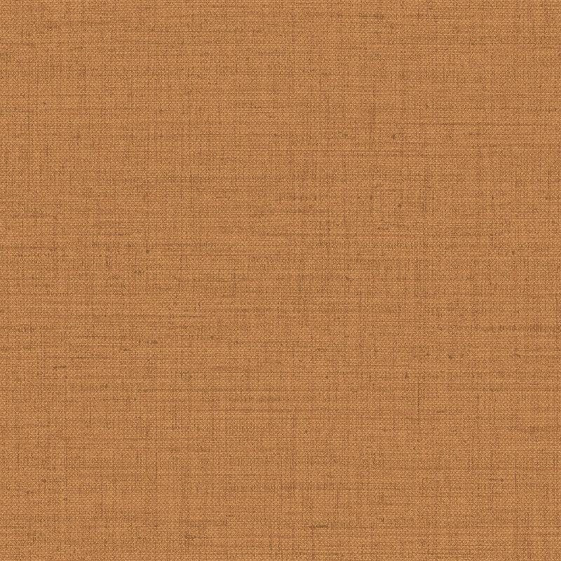 27014 Puro Figura Wallpaper By Arte