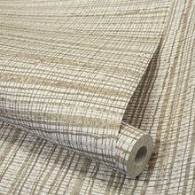 27091 Fondo Salt Pine Nut Wallpaper By Hohenberger Galerie