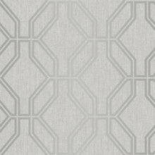 275277 Highgrove Trellis Grey Wallpaper By Rasch