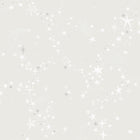 29019 Stjärnhimlen Silver Grey Wallpaper by Galerie