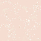29020 Stjärnhimlen Pink Wallpaper by Galerie