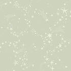 29021 Stjärnhimlen Green Wallpaper by Galerie