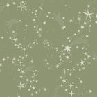29022 Stjärnhimlen Green Wallpaper by Galerie
