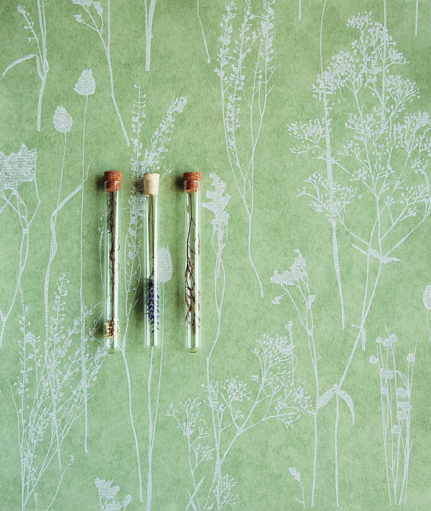 300811 Seagrass Green Wallpaper by Eijffinger