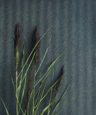 300845 Tidal Blue Wallpaper by Eijffinger