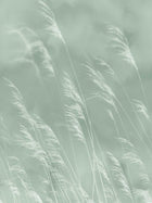 300901 Waterlands Green Mural by Eijffinger