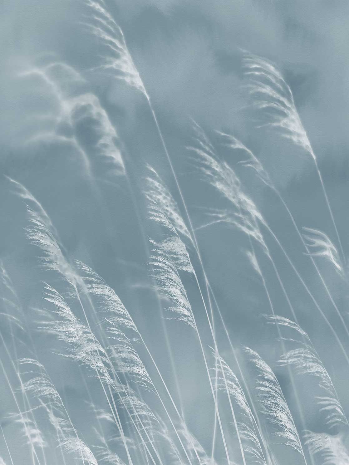 300902 Waterlands Blue Mural by Eijffinger