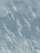 300902 Waterlands Blue Mural by Eijffinger