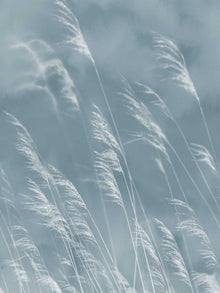300902 Waterlands Blue Mural by Eijffinger