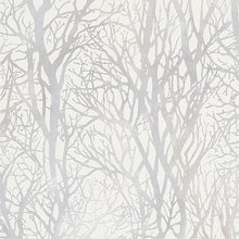 Attractive 2 Wallpaper by A S Creation