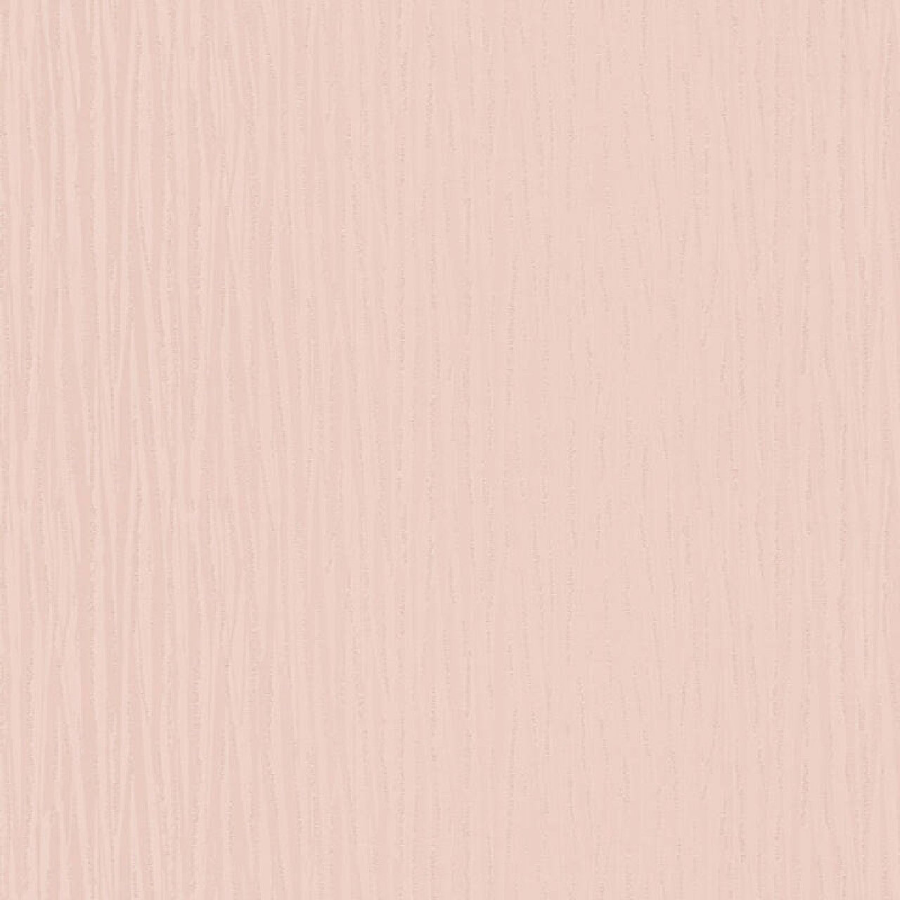 30430-3 Styleguide Colours 2024 Wallpaper by A S Creation