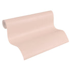 30430-3 Styleguide Colours 2024 Wallpaper by A S Creation