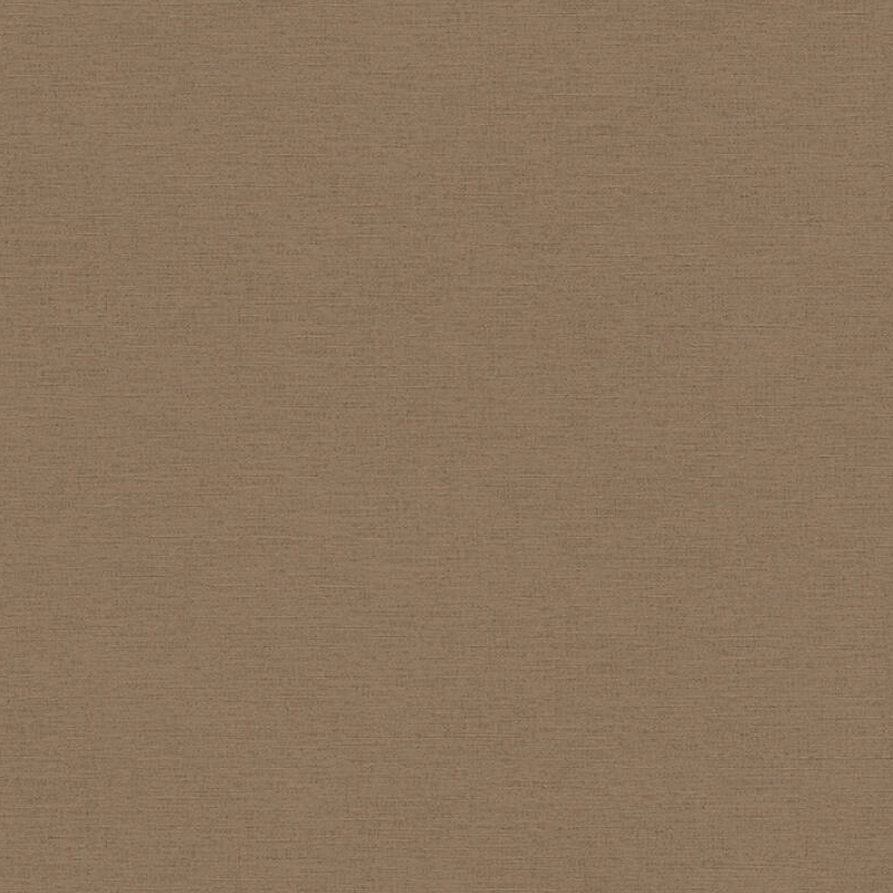 30689-2 Styleguide Colours 2024 Wallpaper by A S Creation