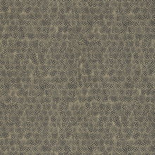 312647 Guinea Kempshott Wallpaper by Zoffany